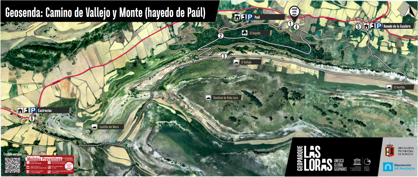 Geosenda:Camino de Vallejo y Monte (hayedo de Paúl)